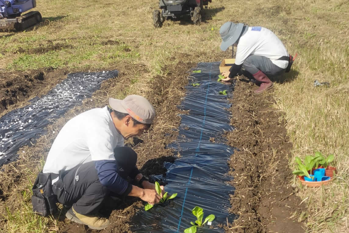 野菜研修